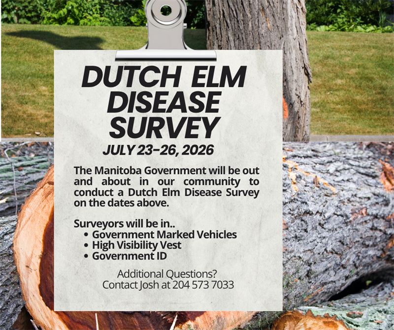 Dutch Elm Disease Surveying July 23-26, 2026